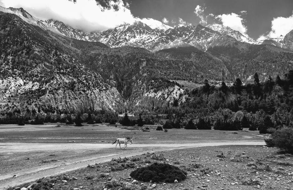 Dhorpatan Hunting Reserve, Nepal - Travel Guide and Tourism Information
